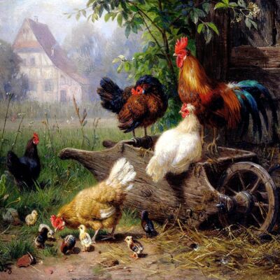 Tile Mural Farm Rooster Chickens Kitchen Bathroom Wall Backsplash Marble Ceramic