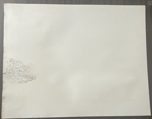 Angella Bassett  Autographed  11 by 14 Color Movie Lobby Card(Rare Item)