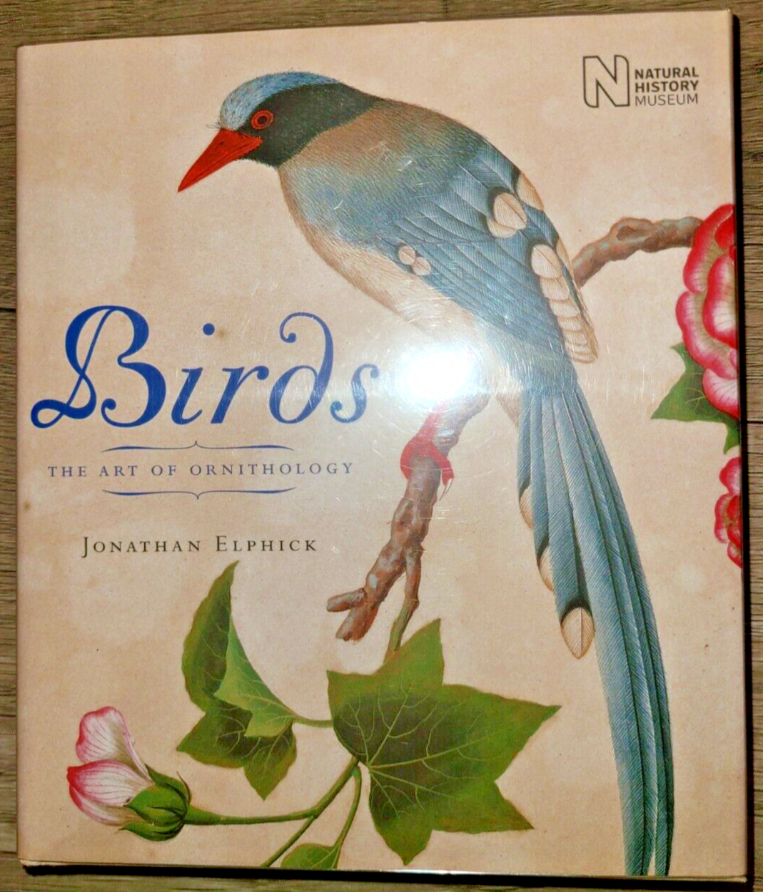 Birds : The Art of Ornithology　絶滅鳥 Birds : The Art of Ornithology 絶滅鳥