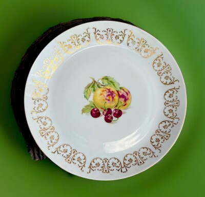 Vintage Czechoslovakia Bohemia Fruit Design Gold Rim Large Dinner Plate Platter