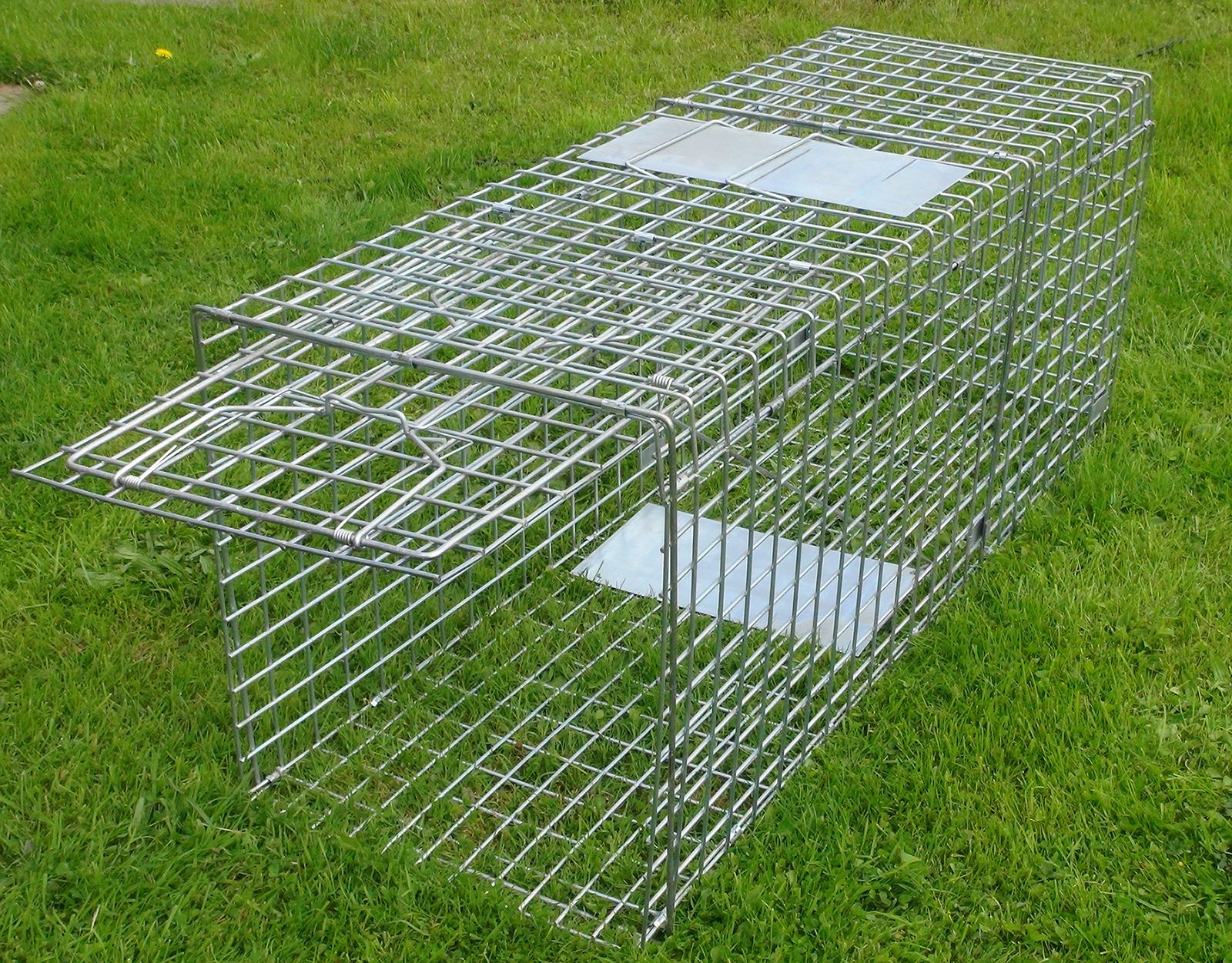 LARGE FOLDING FOX TRAP, HUMANE FOX TRAP, 44."INCH LARGE FOX TRAP, PEST CONTROL eBay