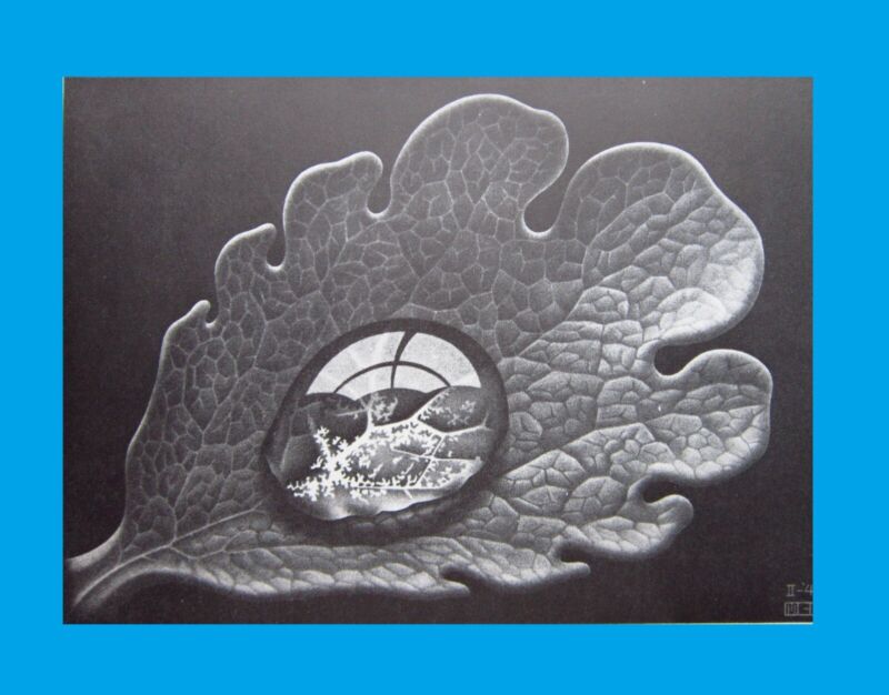 Mc Escher Dew Drop Leaf Graphic Art Optical Illusion Realism Print Litho