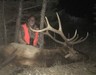 Montana Elk Hunt Bow TAGS FOR 2018 NOT AVAILABLE!  For Hunters With 2018 Tag
