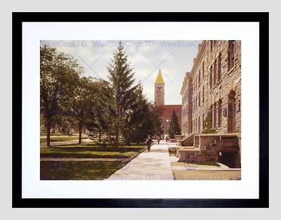 VINTAGE MORRILL HALL LIBRARY CORNELL UNIVERSITY USA FRAMED ART PRINT B12X11793