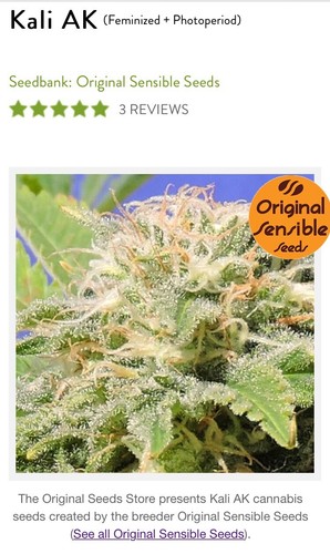 1X Original Sensible Kali AK Feminized Hemp Seed Rare Medical Hybrid 20% 60/40