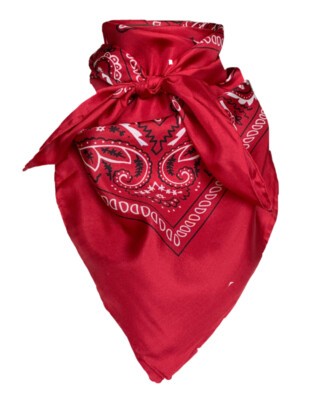 Wild Rag Wyoming Traders Bandana 20'' 34'' 42'' Silk Scarf Multiple Colors S,L,XL