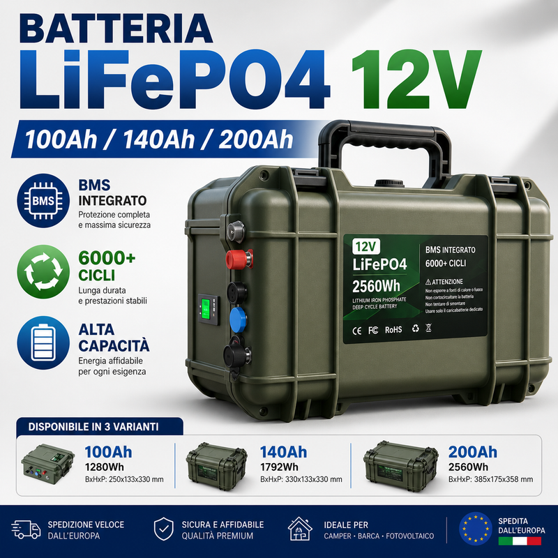 Batteria LiFePO4 100-200Ah Litio Accumulatore BMS Bluetooth Barca Camper Pesca