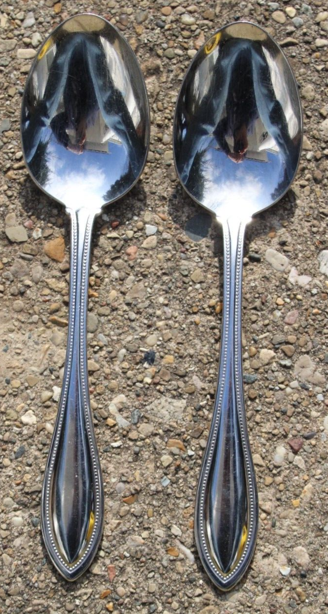 VTG Oneida AMERICAN HARMONY Pattern Lot of 2 Soup Spoons EUC