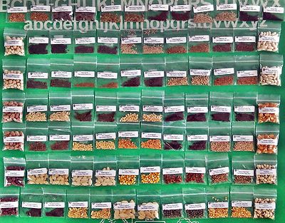 Seeds,Emergency,Survival Non-GMO,Organic,Heirloom 80 Pkgs 40 DifferentVarieties