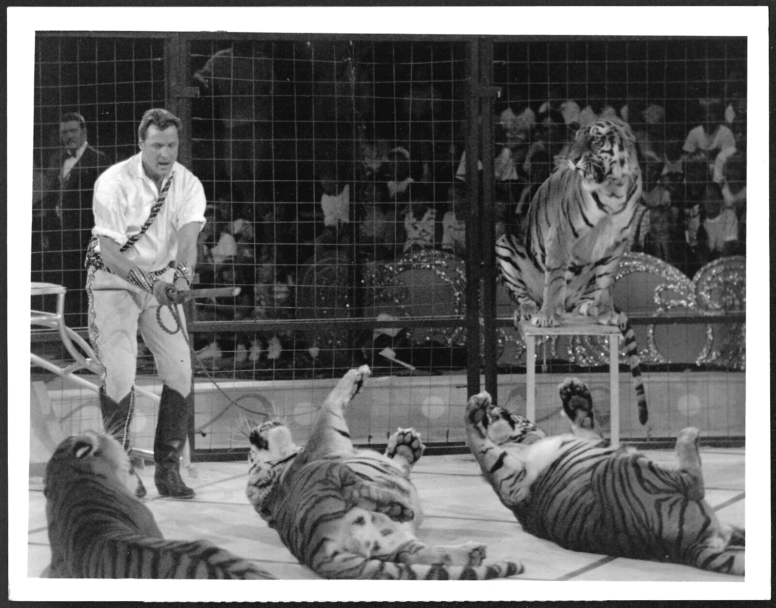 Circus of the Stars Lion Tamer Doug Barr Original 1980s CBS