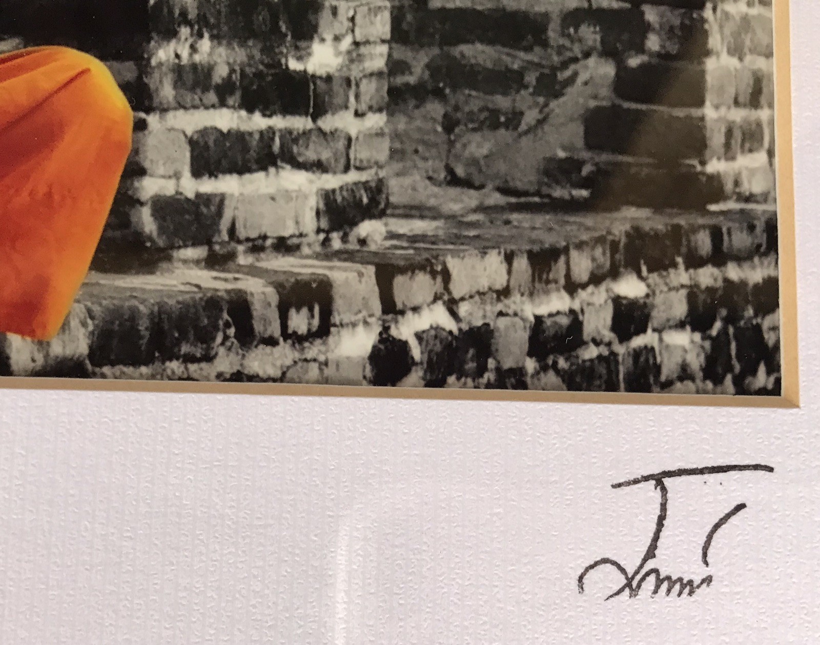 Framed Photograph Thailand Monk Bowl Temple Orange Signed Thai Art Wall Hanging