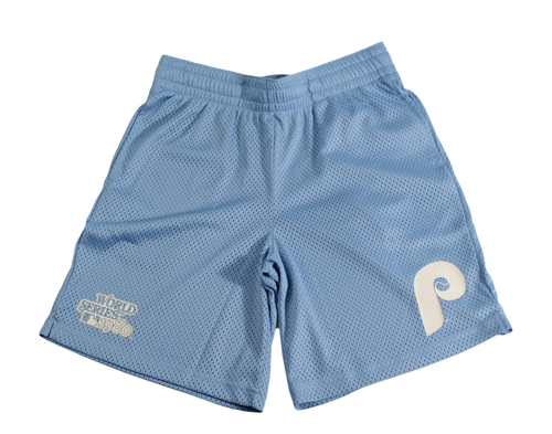 

Голубые двухцветные сетчатые шорты New Era MLB Philadelphia Phillies (13090742), Light blue/white