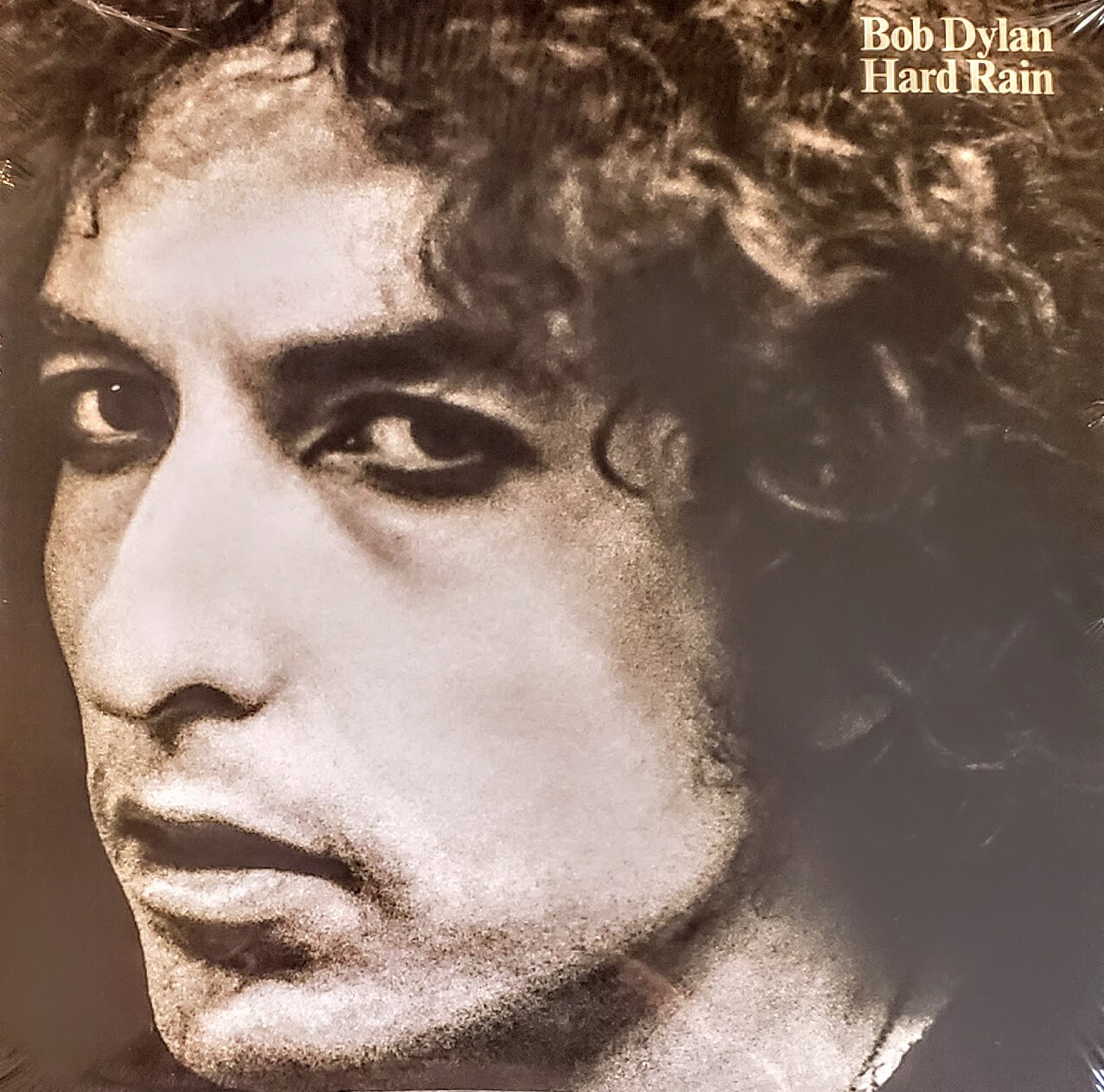Bob Dylan Hard Rain LP 新品、未使用品‼️ Bob Dylan - Hard Rain (LP, Album) | eBay