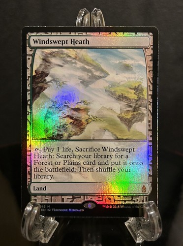 Mtg foil 湿地の干潟 Zendikar Expeditions Magic MTG Zendikar Expedition Windswept Heath FOIL NEAR MINT