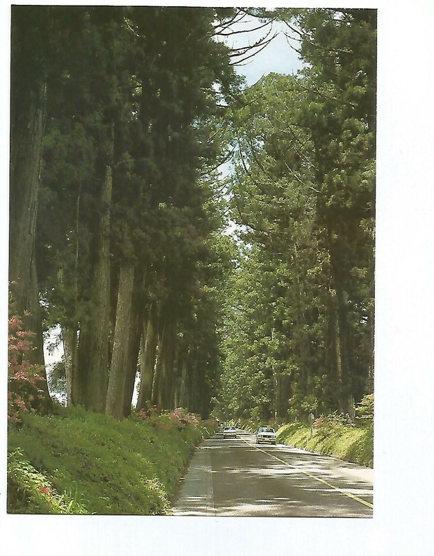 Japon Japan  Nikko  Toshogu Shrine