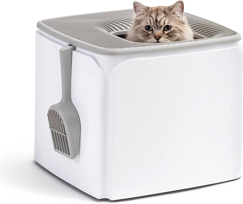 With Cat Litter Scoop White