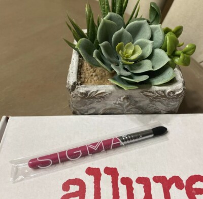 Sigma E45 Small Tapered Blending Mini Brush NEW
