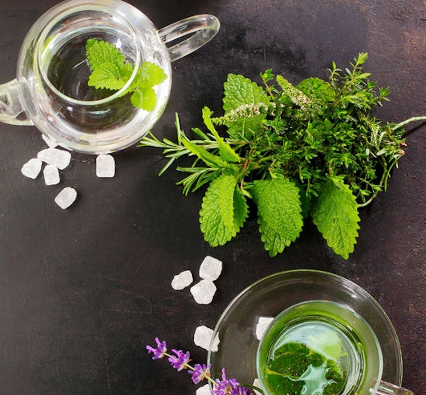 Echte PFEFFERMINZE 1.000+ Samen MENTHA PIPERITA Tee MINZE Peppermint seeds