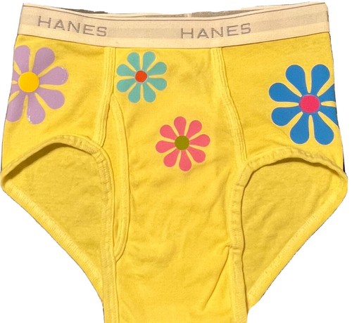 Monet 睡蓮 モネ　hanes vintage 90s xl Monet 睡蓮 モネ hanes vintage 90s xl