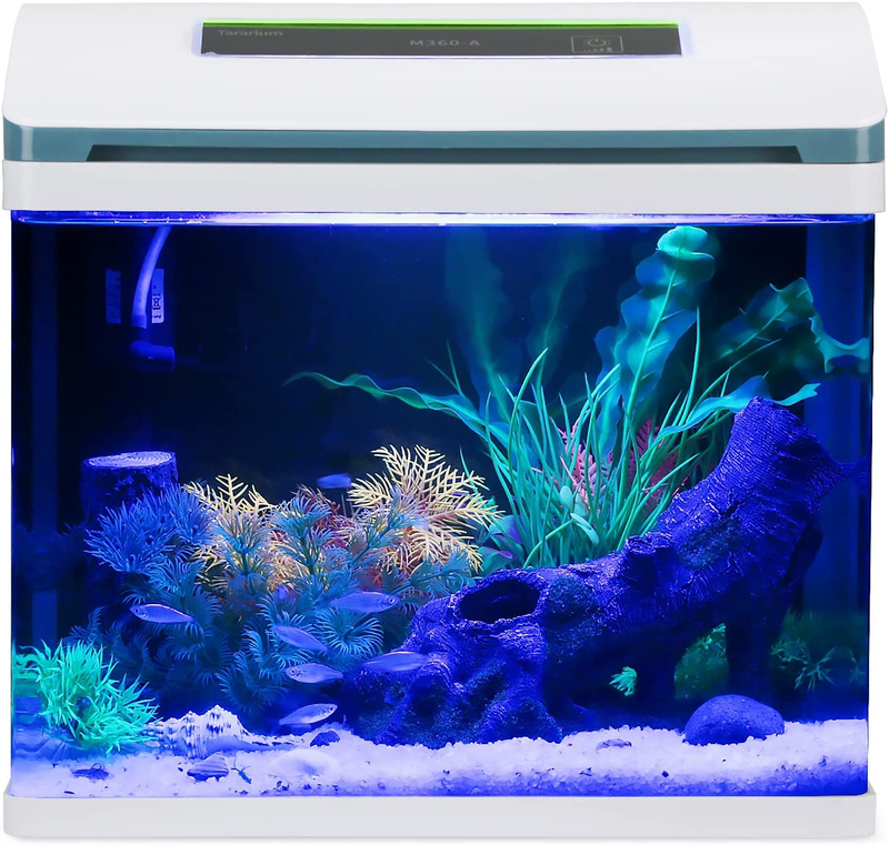 5 Gallon Fish Tank Glass Self Cleaning Small Aquarium Starter Kits Desktop Room