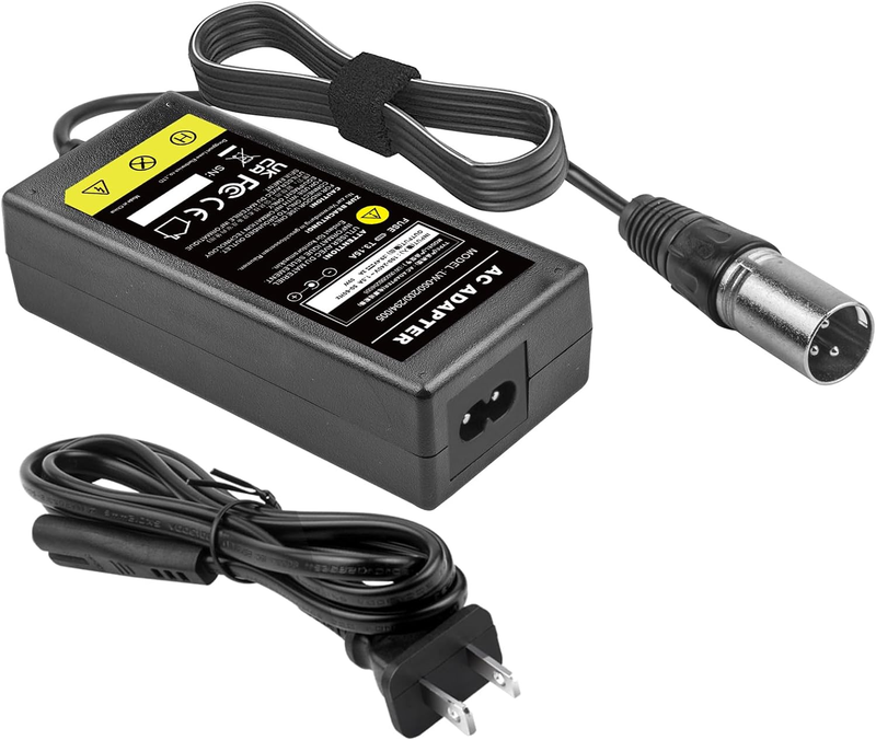 Tree 60W Scooter Battery Charger for LASHOUT Electric Bike, 24V 2A Lithium Char
