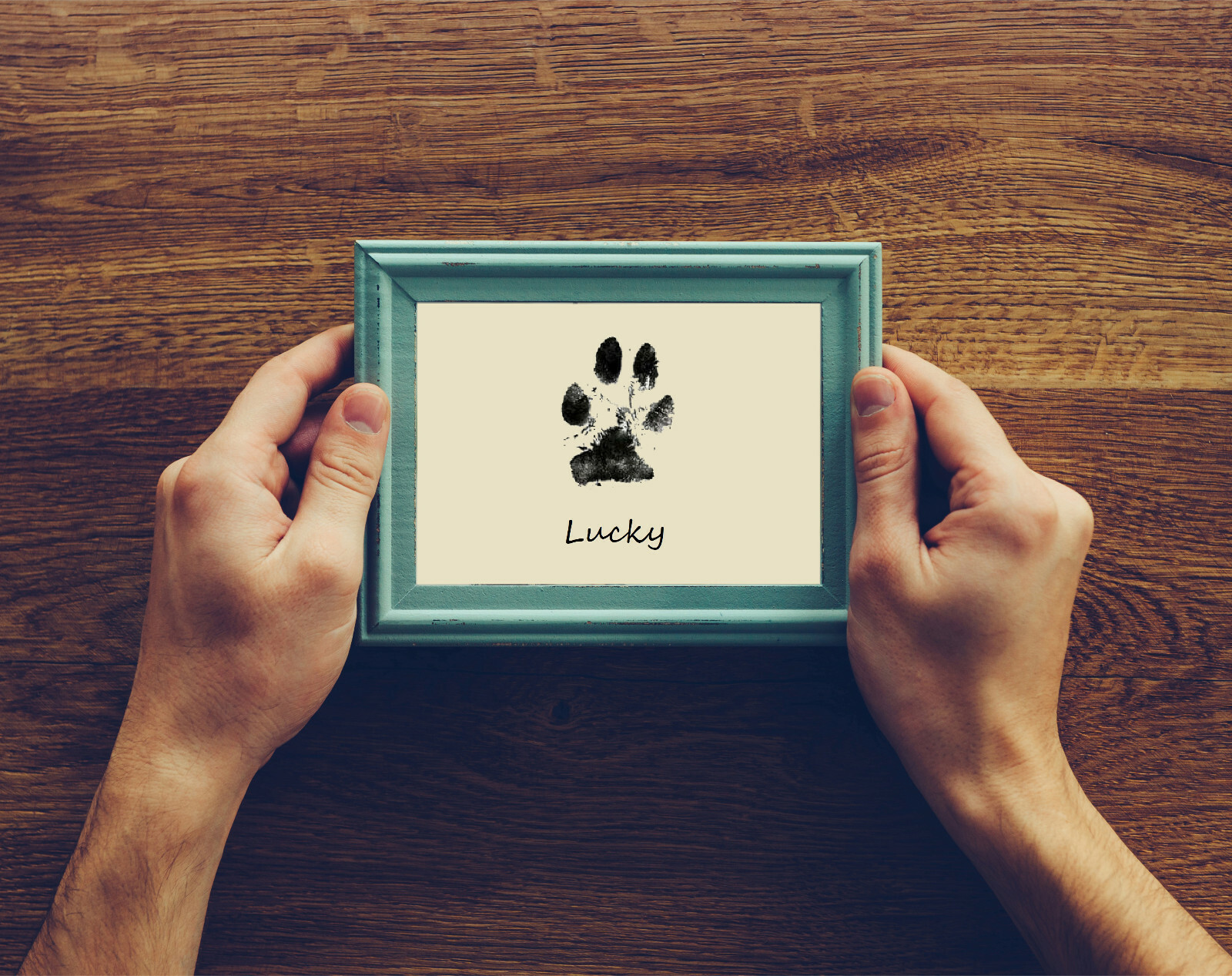 2x Pfotenabdruck Set - Abdruckkissen für Ihr Haustier ohne Rückstände Hund Katze