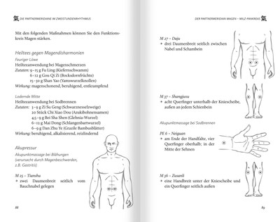 Die Organuhr. Leben im Rhythmus der Traditionellen Chinesischen Medizin (TCM) Wu