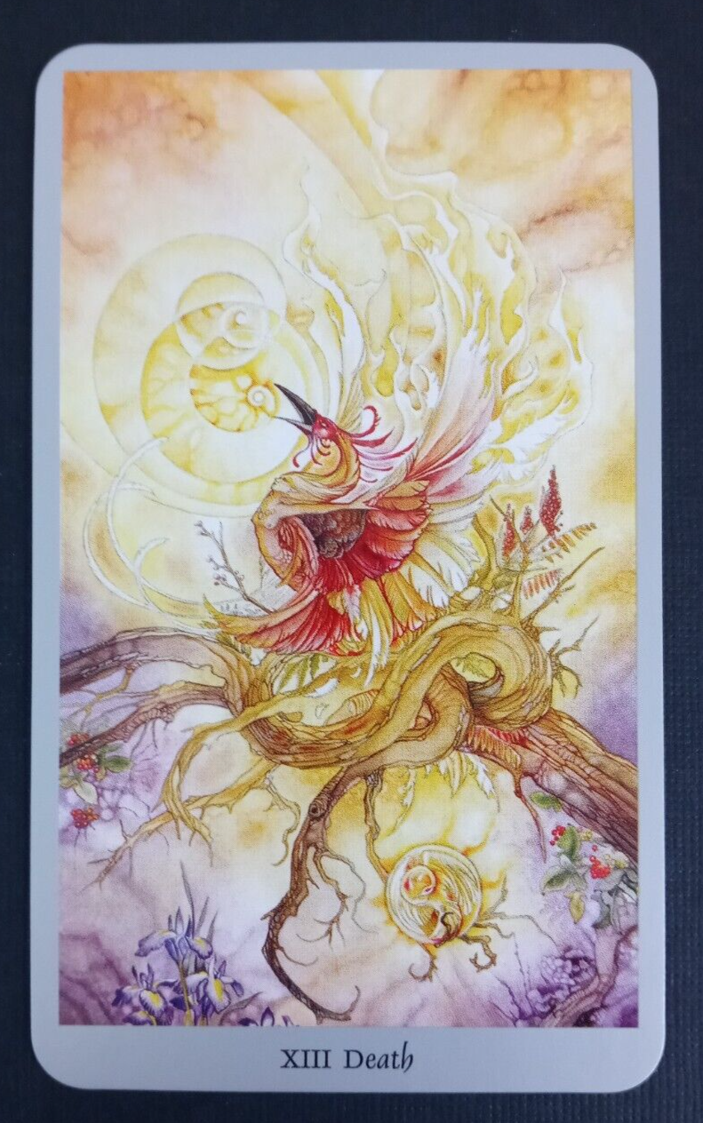 The Soulscape Tarot 未開封 The Soulscape Tarot - 78 Cards