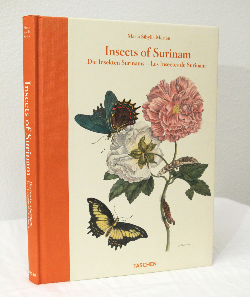 レビュー高評価商品 by Surinam of Insects Maria HC (2010, Merian Sibylla アート・デザイン・音楽