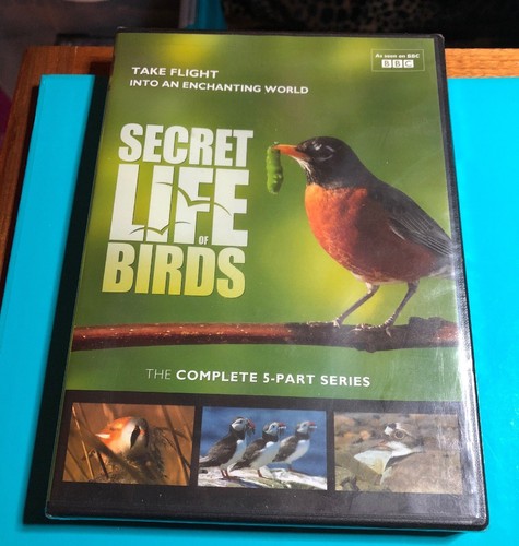 Birdsong IdentiFlyer Bird Call Song Identifier w/ Yard Bird Cards Series 1 & 2 +