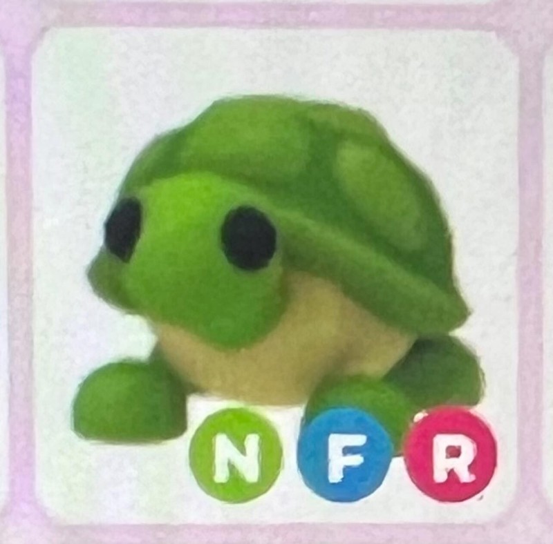 Adopt A pet from Me - Neon Fly Ride Turtle