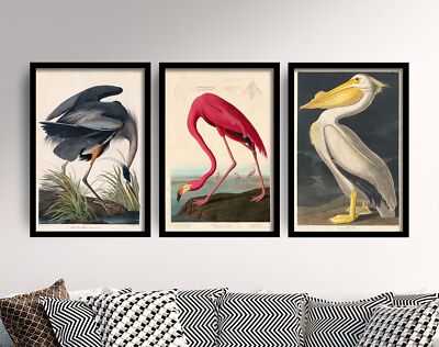 Great White Heron Set of 3 Art Prints by John James Audubon, Poster Painting