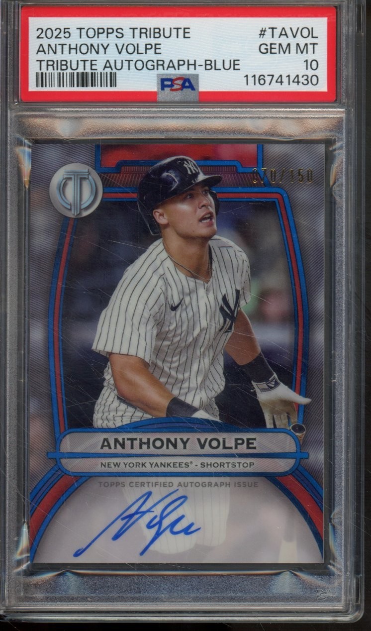 2019 Panini Anthony Volpe auto 直筆サイン　シリ 2019 Panini Anthony Volpe auto 直筆サイン シリ 2019 Panini