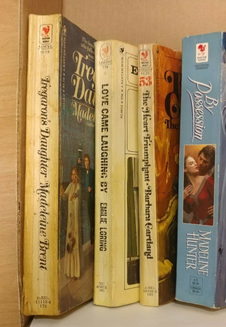 Lot of 12 Bantam Romance Softcover Novels Historical Hunter Loring Brent Book