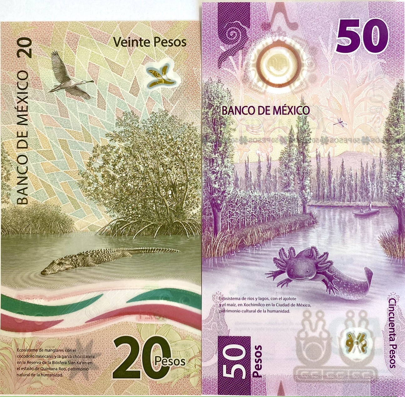 Mexico set 2 UNC 20 50 Pesos 2021 / 2023 Polymer P 132 133 Mixed Date/Sign