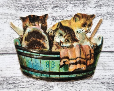 um 1900 Katzen süß Waschzuber Bottich Wäsche Victorian Glanzbild Ephemera Deko