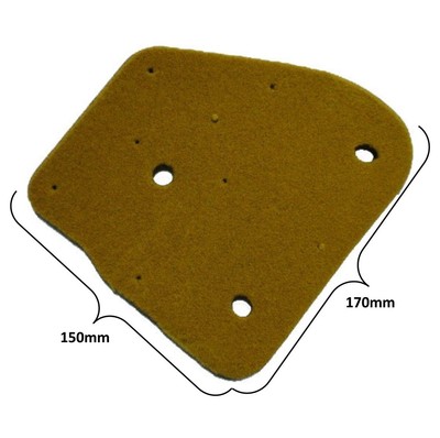 Dinli Dino50,  JP50,  ATV Foam Air Filter