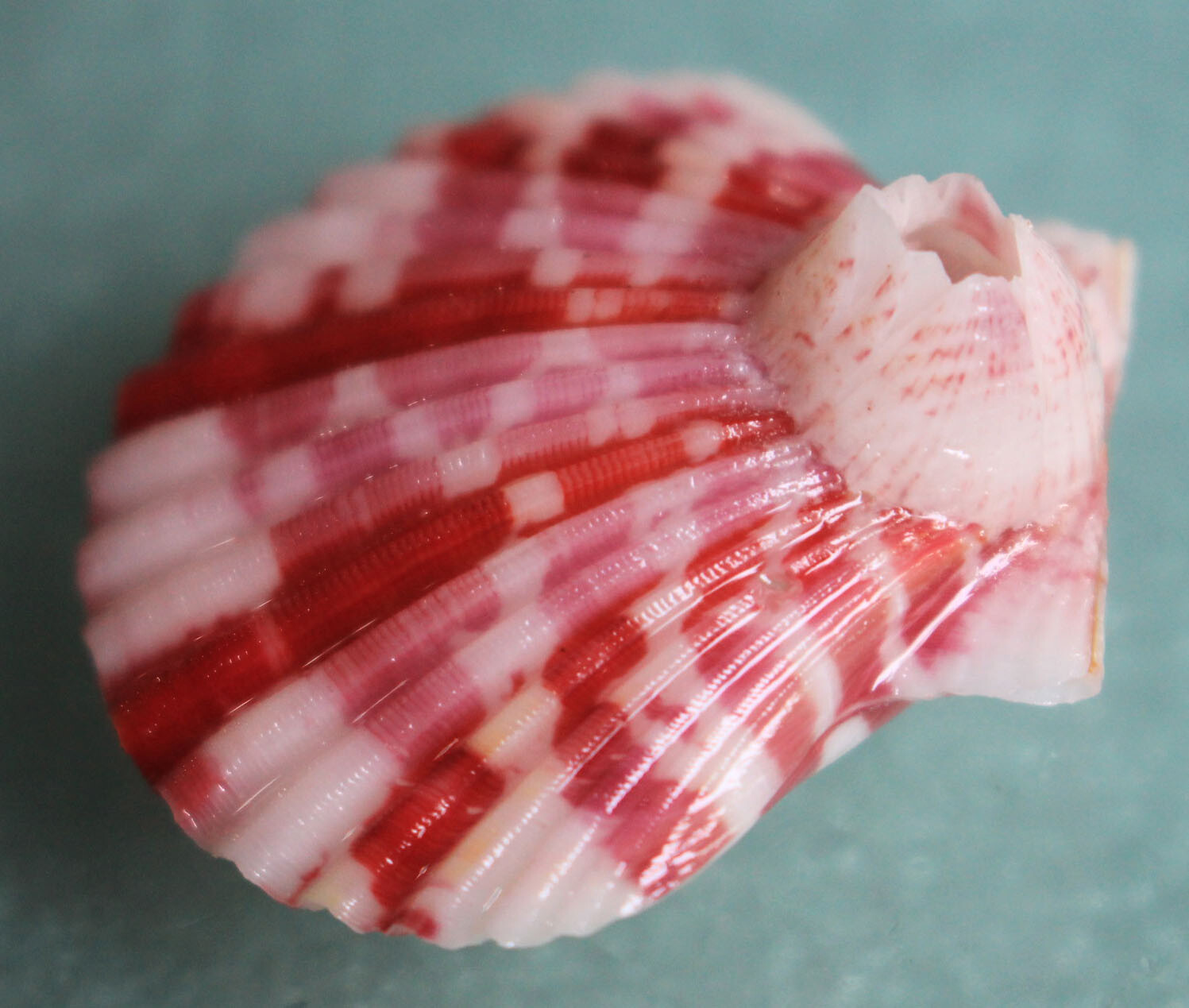 микшерный пульт markus ls 82d. кармелла бинг полный рост. Frz. 495 2021. 495 2021.