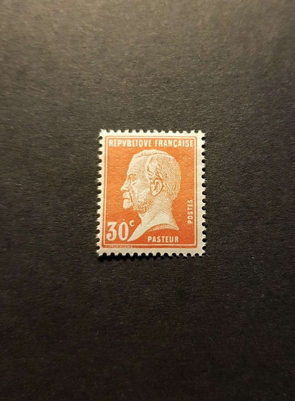 France Timbre Type Pasteur NÂ°173 Neuf ** Luxe Mnh 1923 