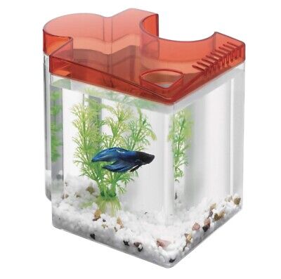 Aqueon Kit Betta tank Red 0.5gal. Puzzle Aquarium, food, plant, gravel, etc