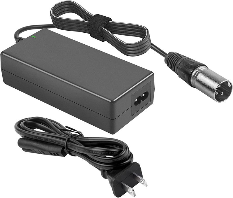 Tree 60W Scooter Battery Charger for LASHOUT Electric Bike, 24V 2A Lithium Charg