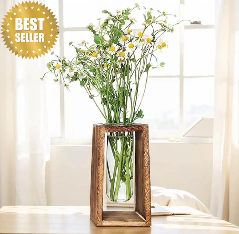 Desktop Glass Plant Propagation Station， Large Capacity Test Tube Plant Terrariu