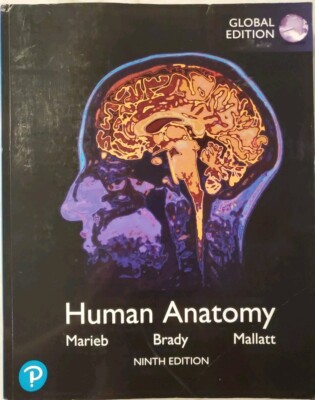Human Anatomy, Global Edition by Marieb, Elaine N.|Brady, Patricia M.|Mallatt�