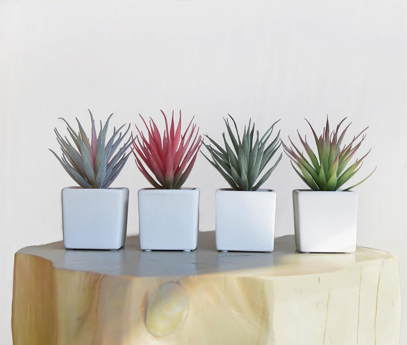 Classic Set of 4 Faux Succulents 7” Tall in Ivory White Stucco Ceramic Pots-Real