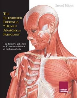 Illustrated Portfolio of Human Anatomy & Pathology, 2nd Edition: The Definitive 