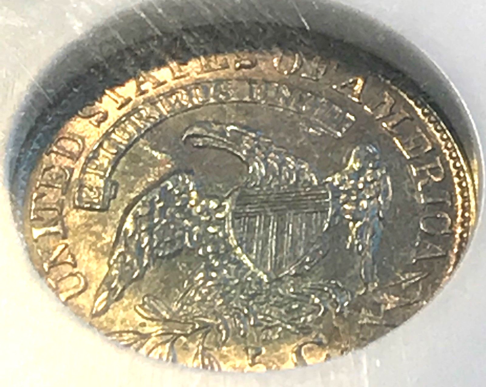 1833 Capped Bust Half Dime NGC MS64 Gorgeous Toning CHN