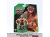 Adam Bomb Green Card Series 11 WWF Wrestling 1994 Hasbro Figure MOSC Sealed New
