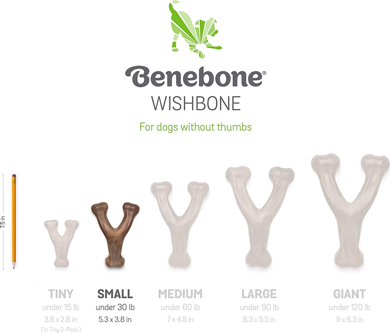 Wishbone Durable Dog Chew Toy for Aggressive Chewers, Made in USA, Small, Real B