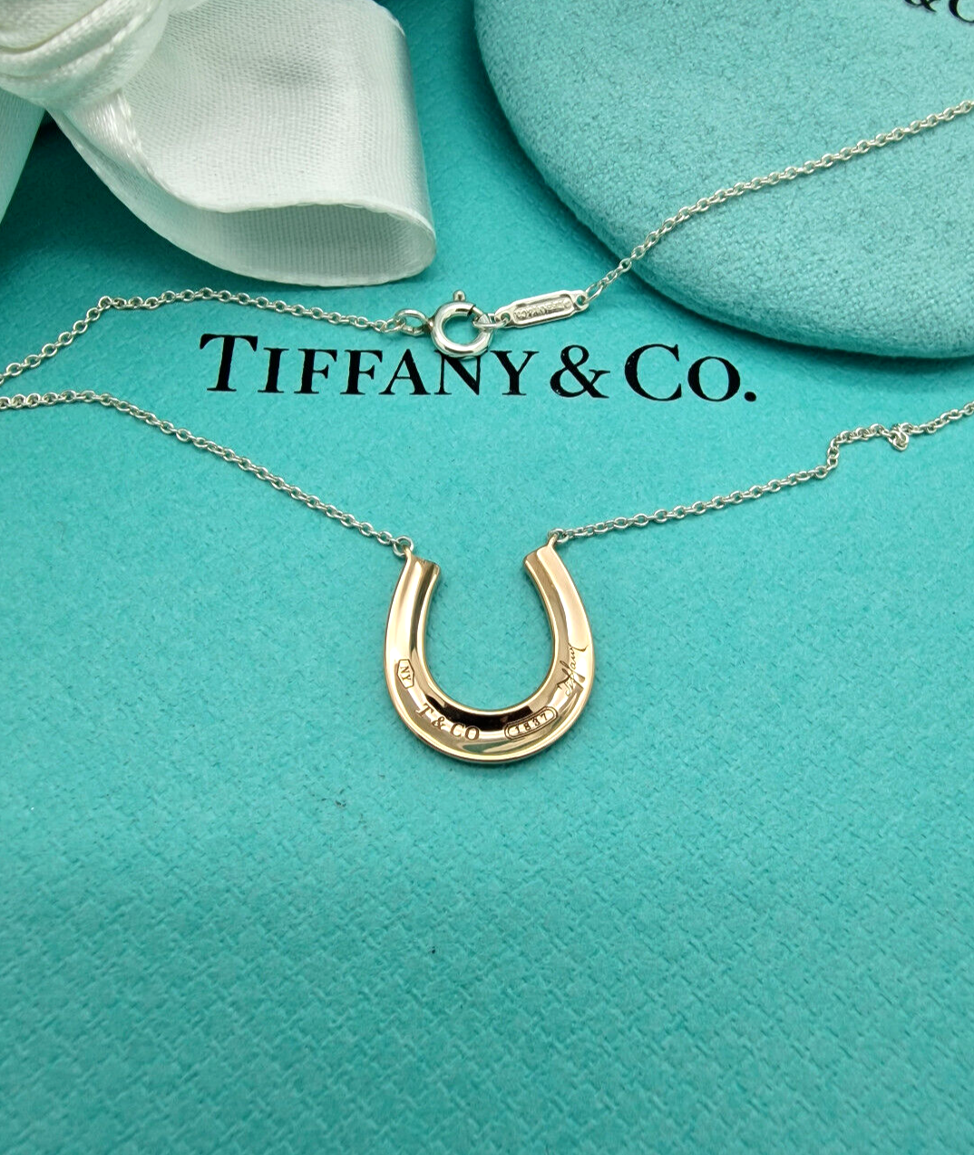 Tiffany horse shoe necklace ホースシュー Tiffany & Co. Diamond Horseshoe Necklace in Platinum | New
