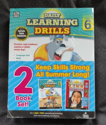 2 Book Set Summer Link Math + Reading Summer Before Grade 6 Homeschool Classroom